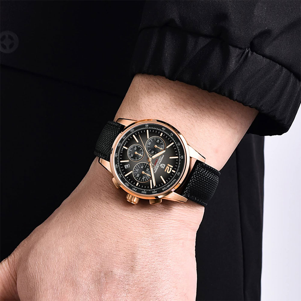 PAGANI DESIGN New Mens Watch 4 - đánh giá và giá Luxury Watch For Men